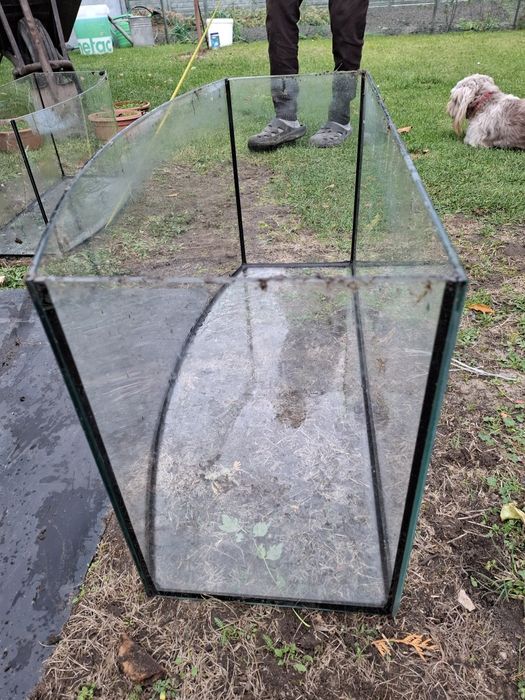 Akwarium panaromiczne