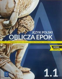 J. Polski 1.1 Oblicza epok podr. ZPiR WSiP - używany