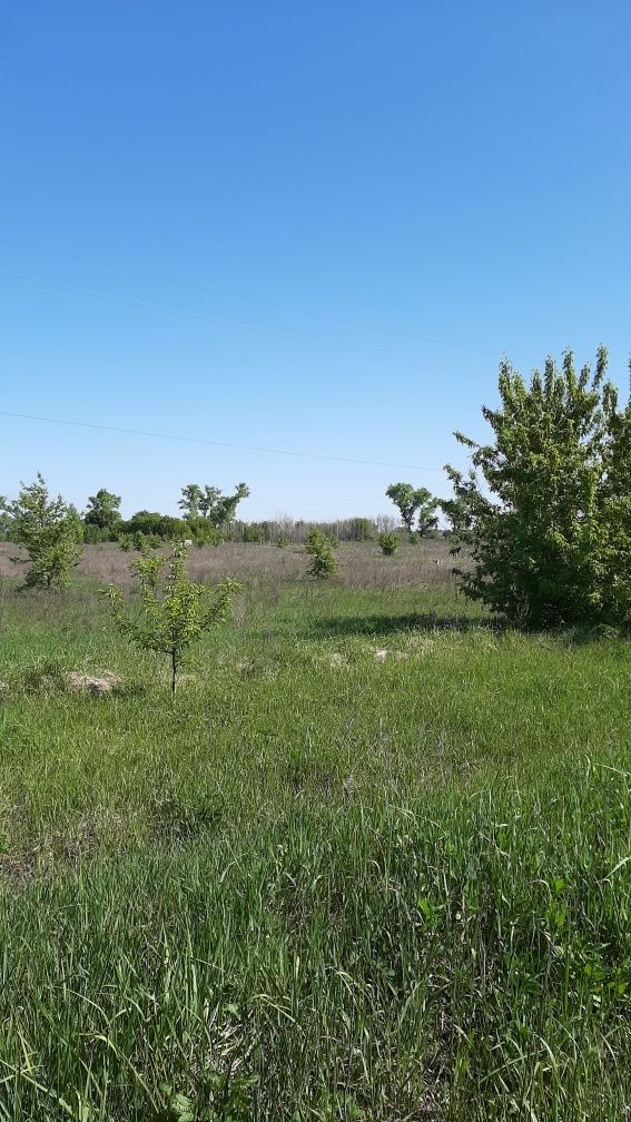 Продається земельна ділянка в с.Рожівка.