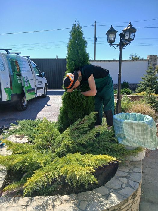 Комплексний догляд за садом та ділянкою