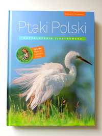 Ptaki Polski Andrzej G. Kruszewicz plus CD bestseller
