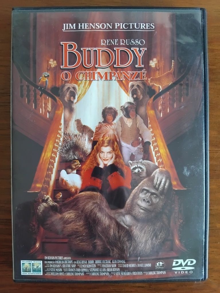 Dvd - Buddy O Chimpanzé