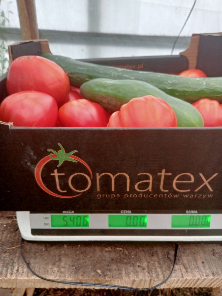 Ogórek pomidor Mix 5 kg