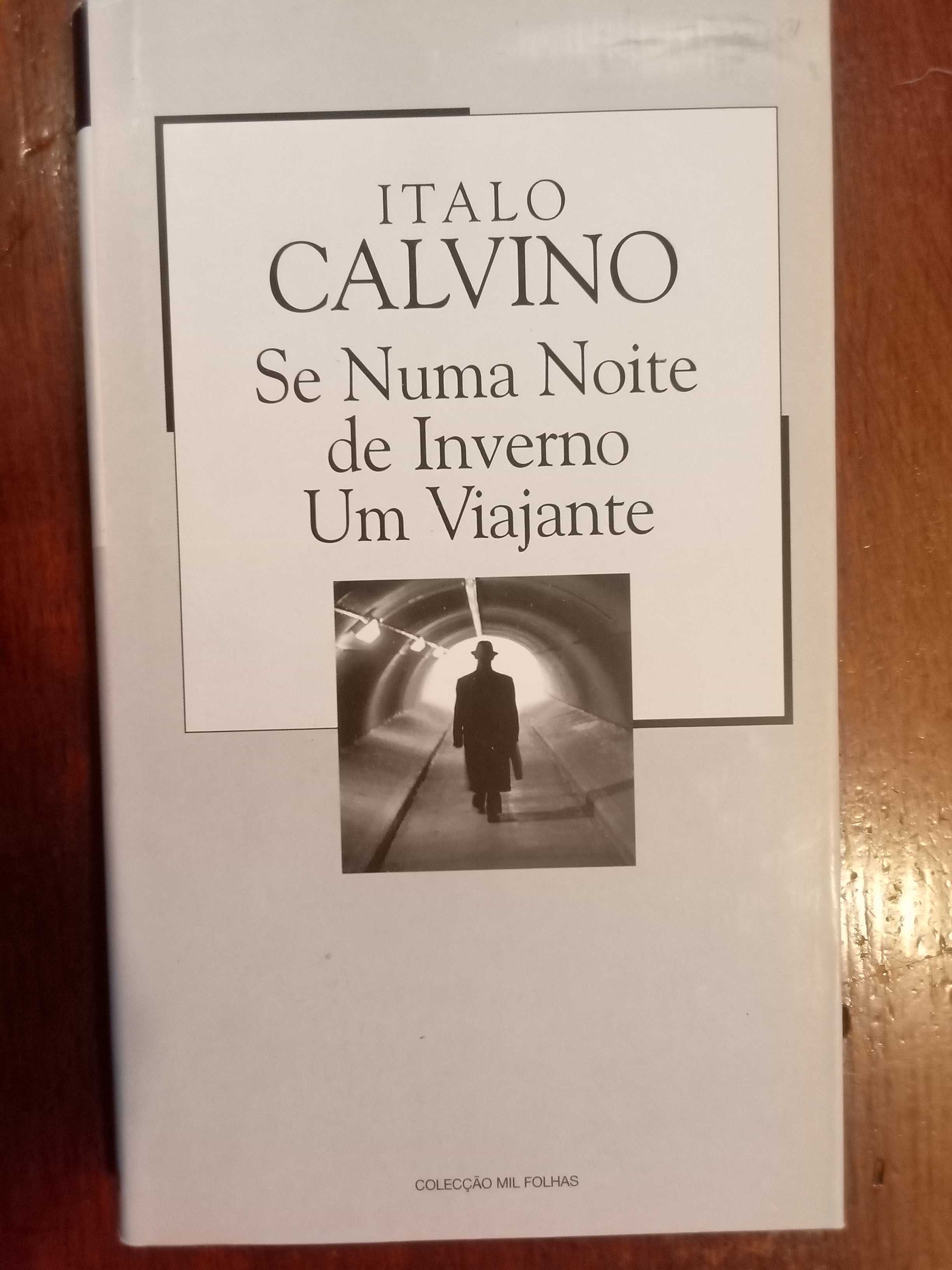 Italo Calvino - Se numa noite de inverno um viajante