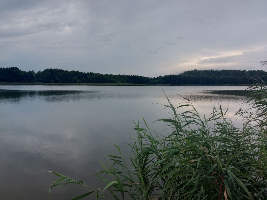 Wynajmę domek letniskowy z balią! Wolne terminy!!