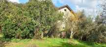 Quinta com casa habitação em Sabugosa-Tondela Tondela