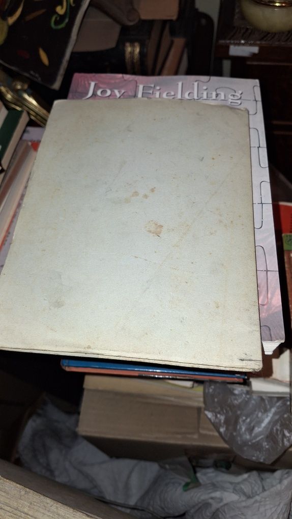 Pedaços de Alma livro Caetano Pereira autografado