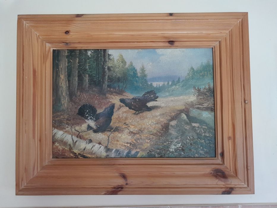 Myślistwo, tok cietrzewi.