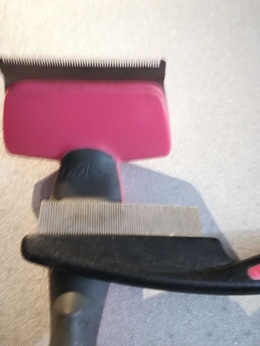 Dois pentes para cão