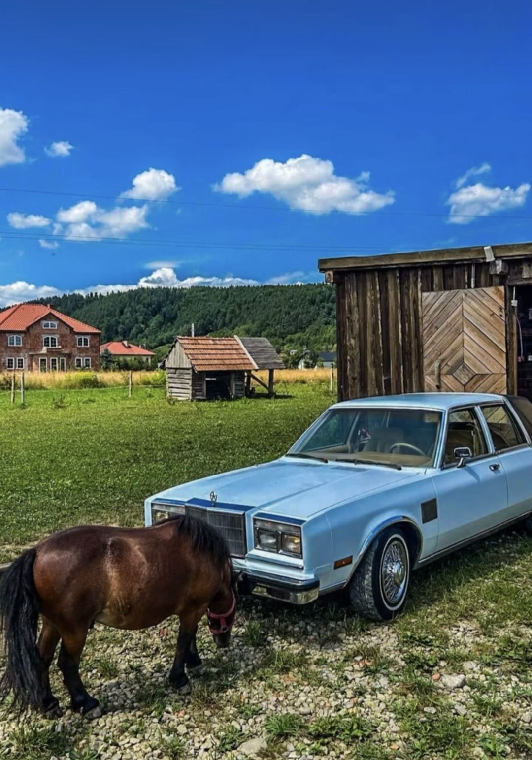 Auto,Samochód do ślubu, Wypożyczalnia Dodge,Camaro,Mustang,Bmw,Audi