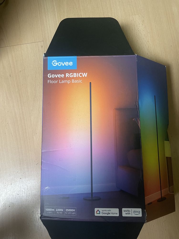 Govee floor lamp basic
