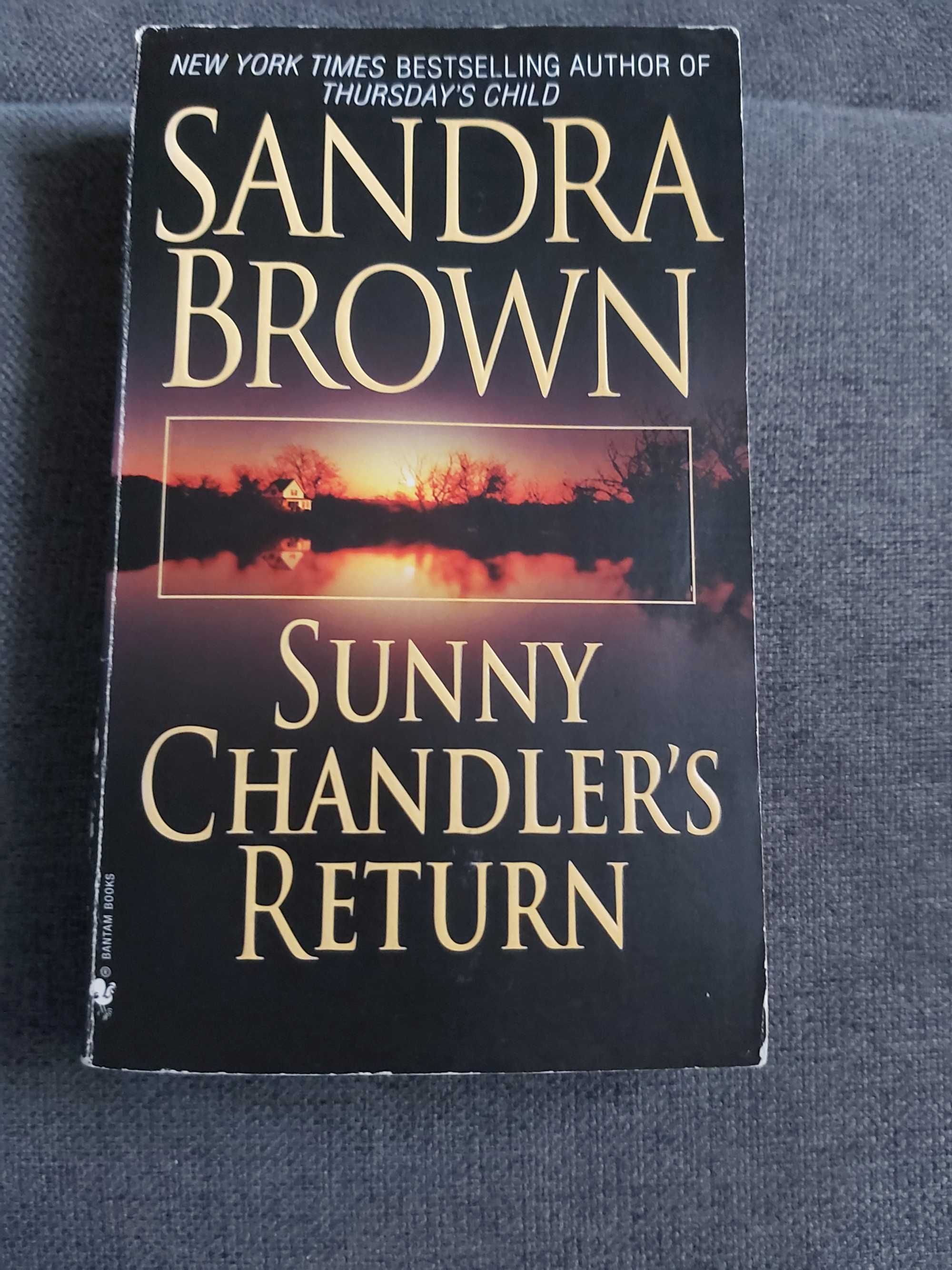 Sunny Chandler's Return - Sandra Brouwn