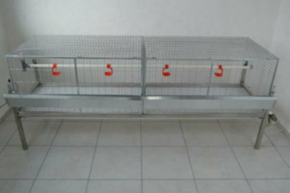 Клітки для курей.