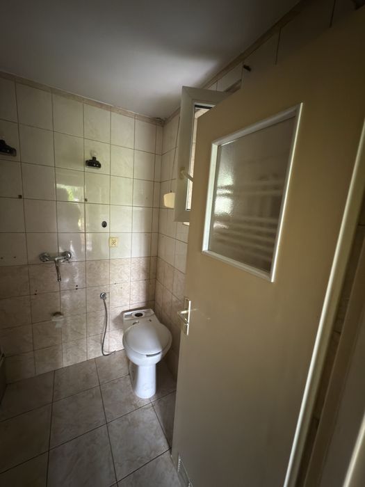 Dzialka ROD im. M. Palacza w Poznaniu