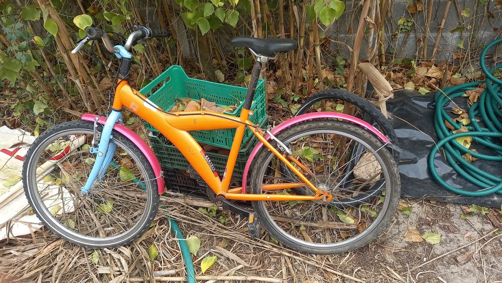 Bicicleta Belga Bertels Rara
