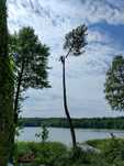 Wycinka i pielęgnacja drzew metodą alpinistyczną, Prace wysokościowe.