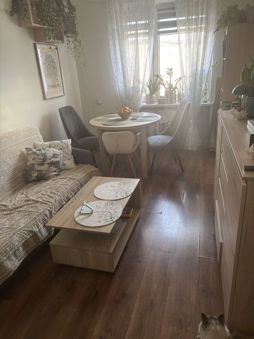 mieszkanie na wynajem 38m2 Działoszyn