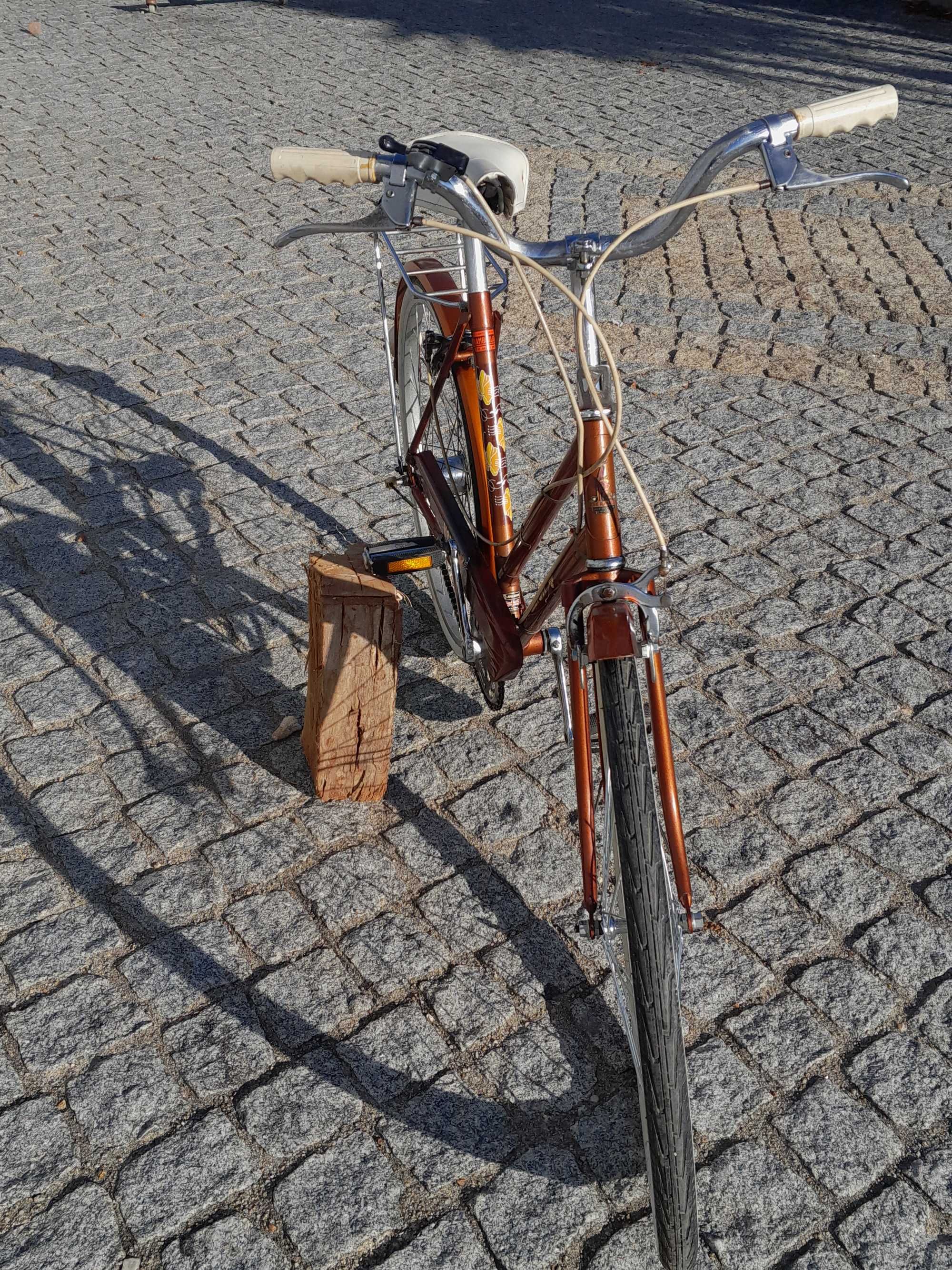 Bicicleta Clasica Raleigh