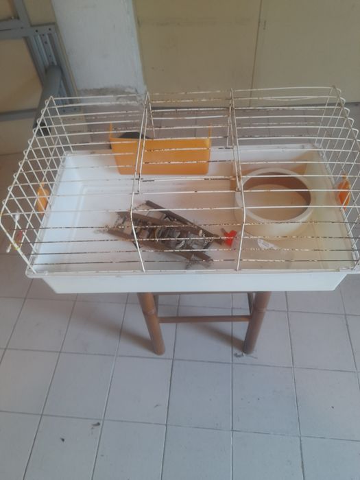 Gaiola para coelho de estimação.