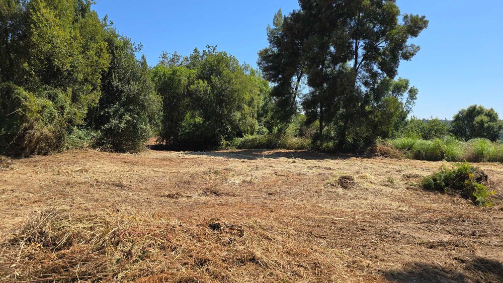 Lote de terreno 2500+ m2, margens do rio Douro, perto do Porto