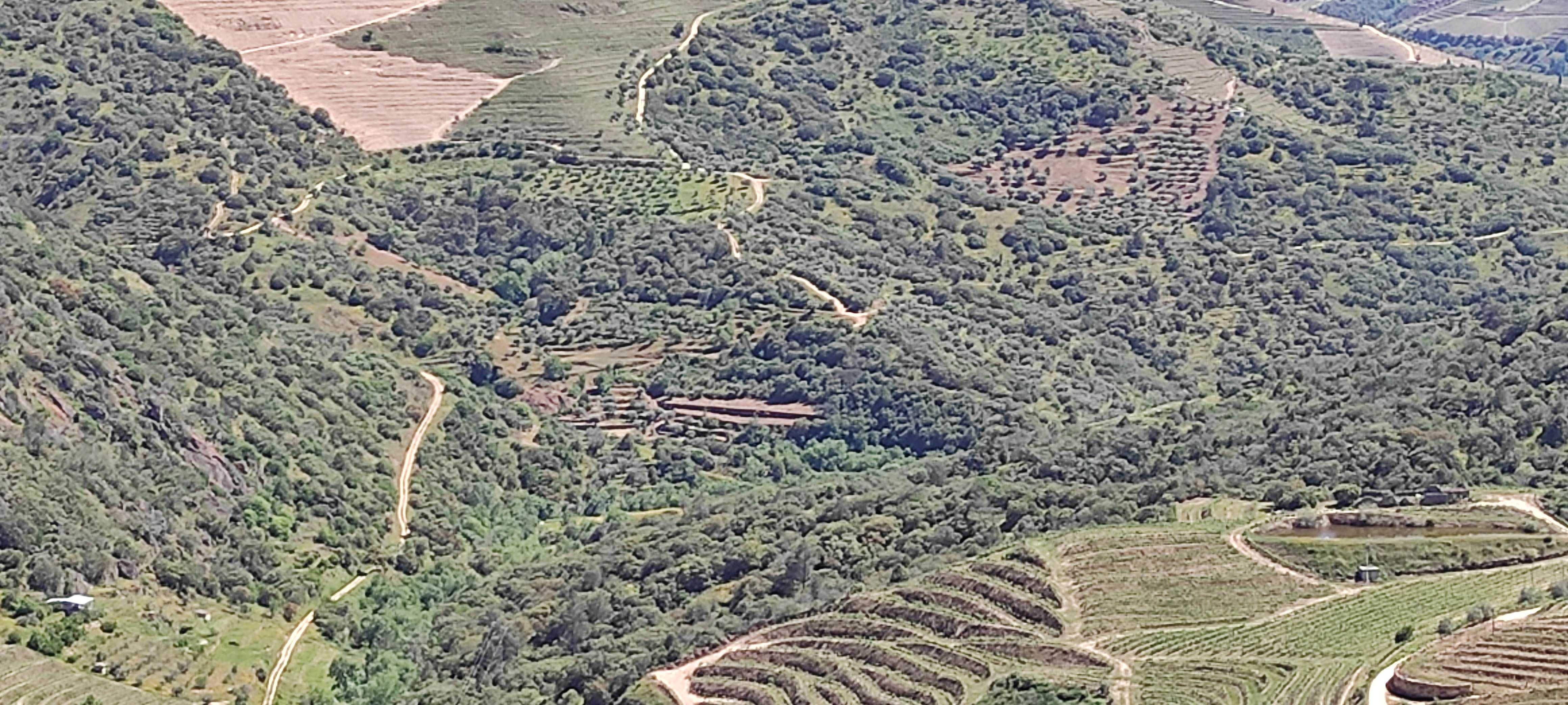 Terreno agrícola com vistas deslumbrantes