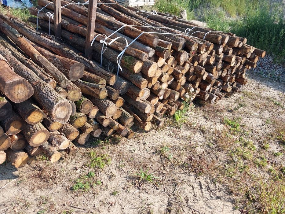 Słupki ogrodzeniowe dębowe