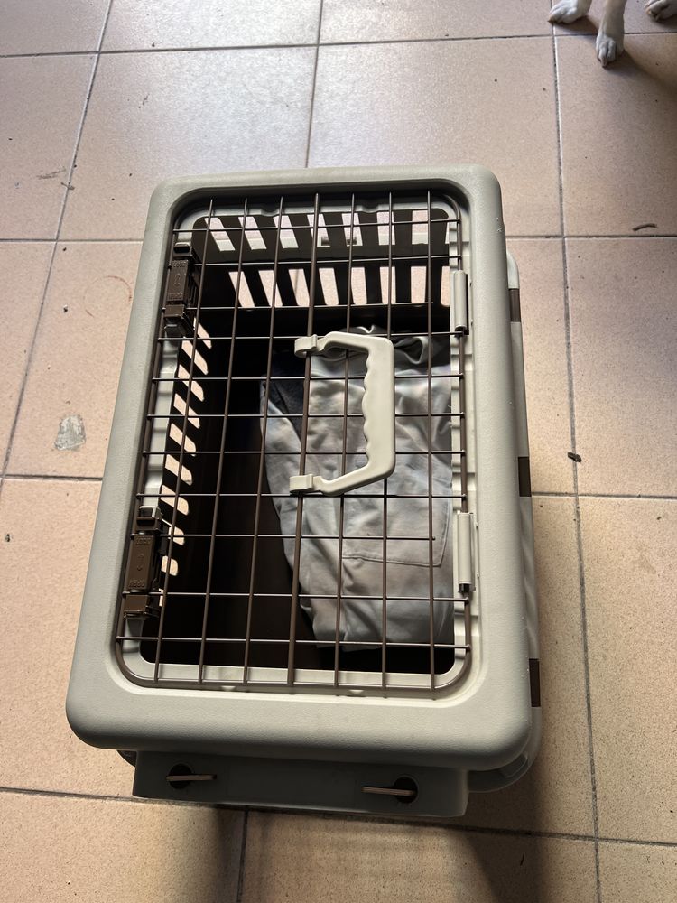 Vendo caixa para Tranporte de cão ou gato