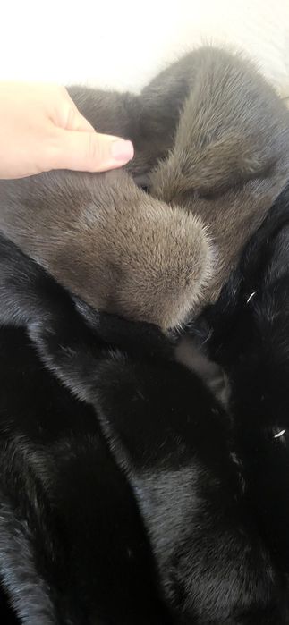 Шуба норкова автоледі