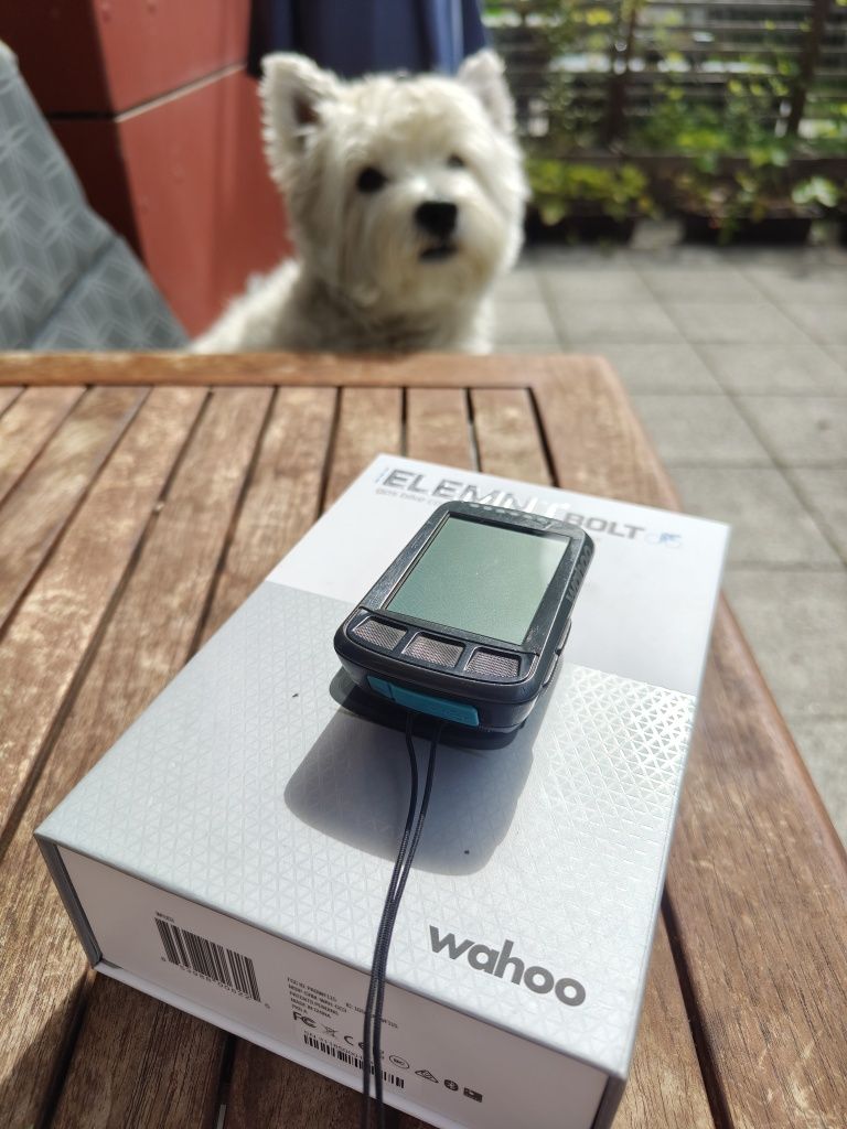 Wahoo Elemnt Bolt