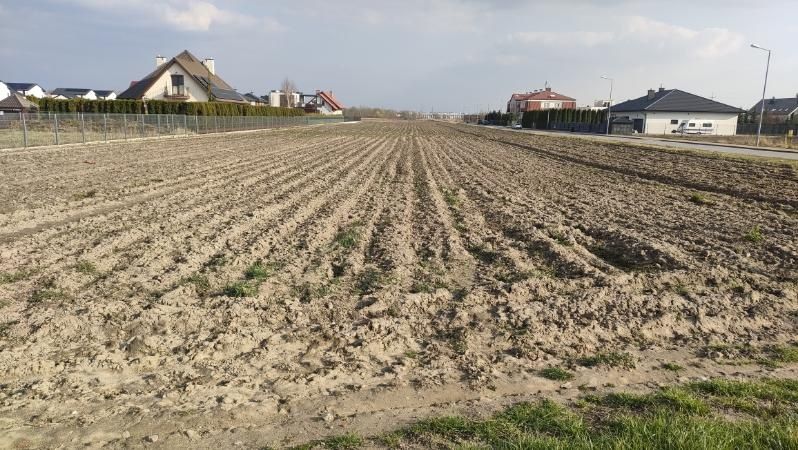 Działka do wynajęcia Zgorzała