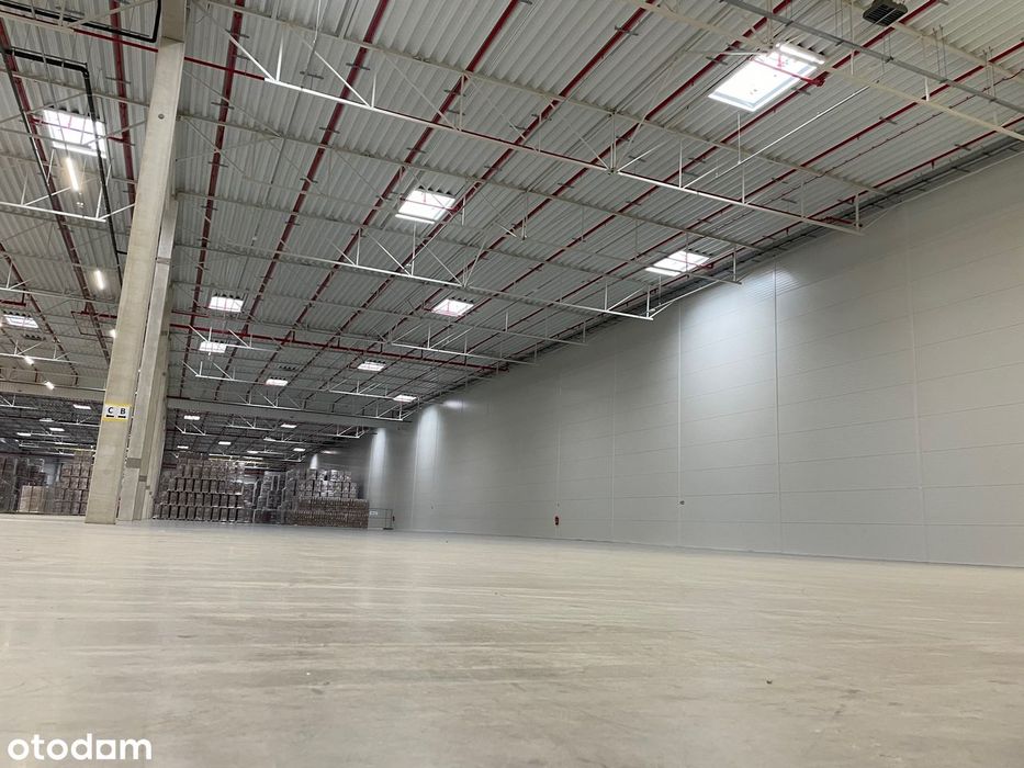 Magazyn 700m2