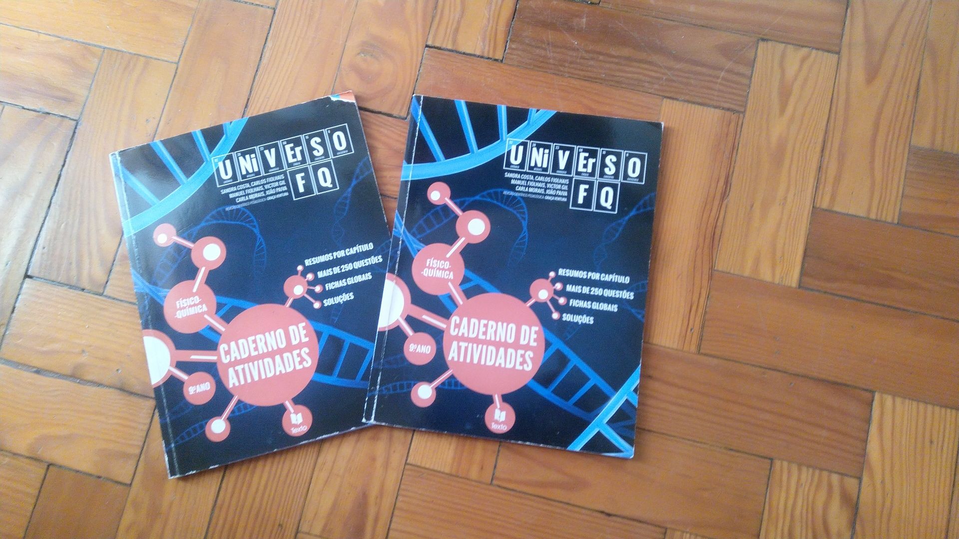 Livros 9° ano actualizados (4€ cada)
