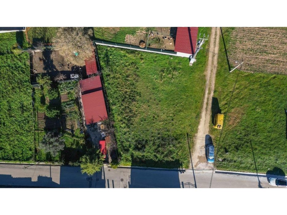 Terreno em S. Martinho de Árvore