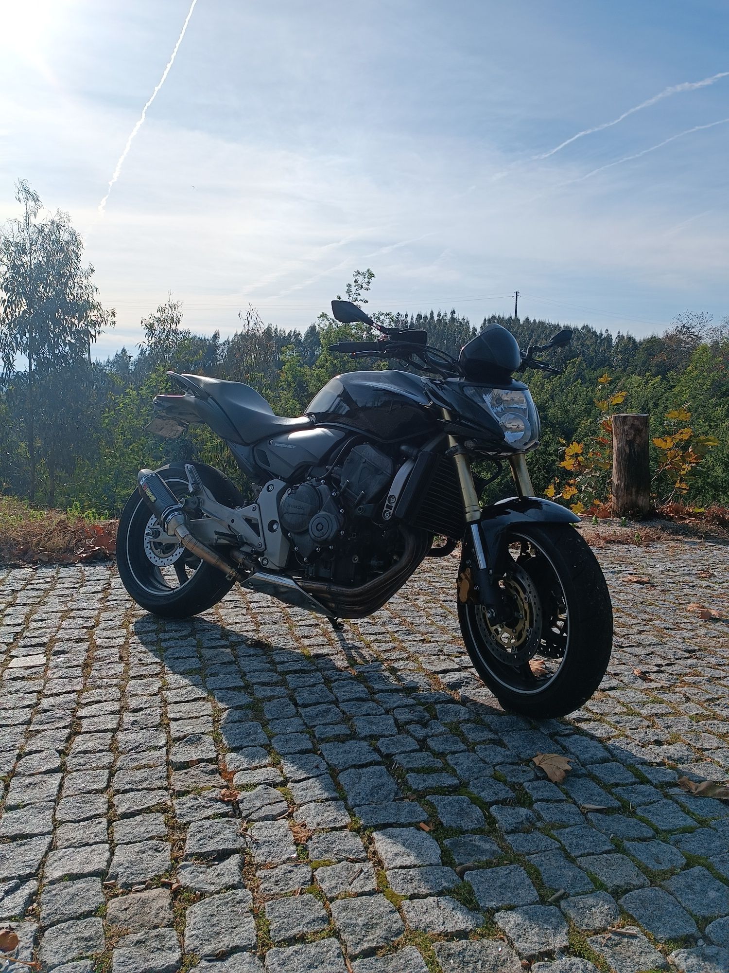 Vendo Honda hornet