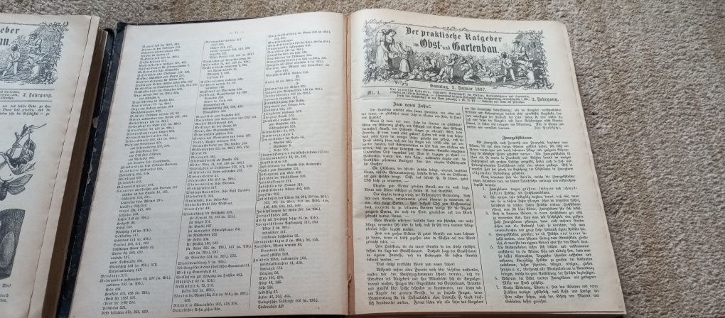 Der praktische ratgeber im obst und gartenbau 1887 i 1888