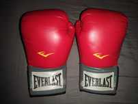 Luvas Vermelhas Boxe 12 Oz Everlast