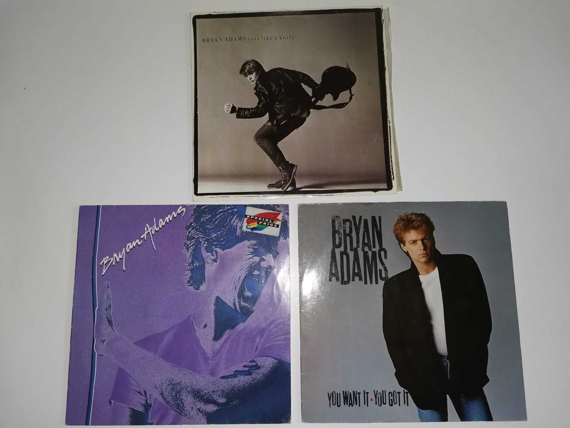 BRYAN ADAMS: 6 álbuns - Discografia até 1991 [discos de Vinil)