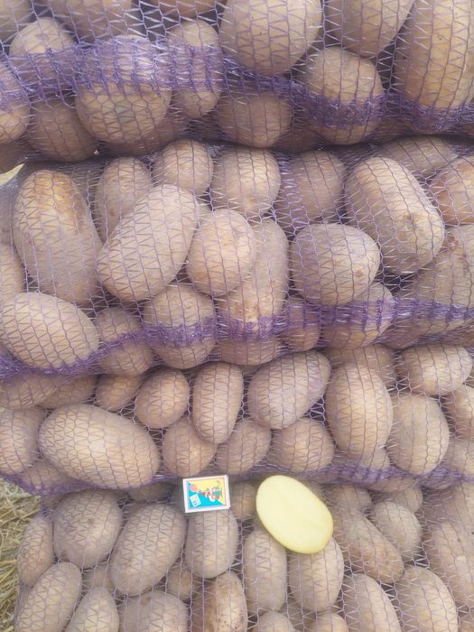 Картопля з доставкою