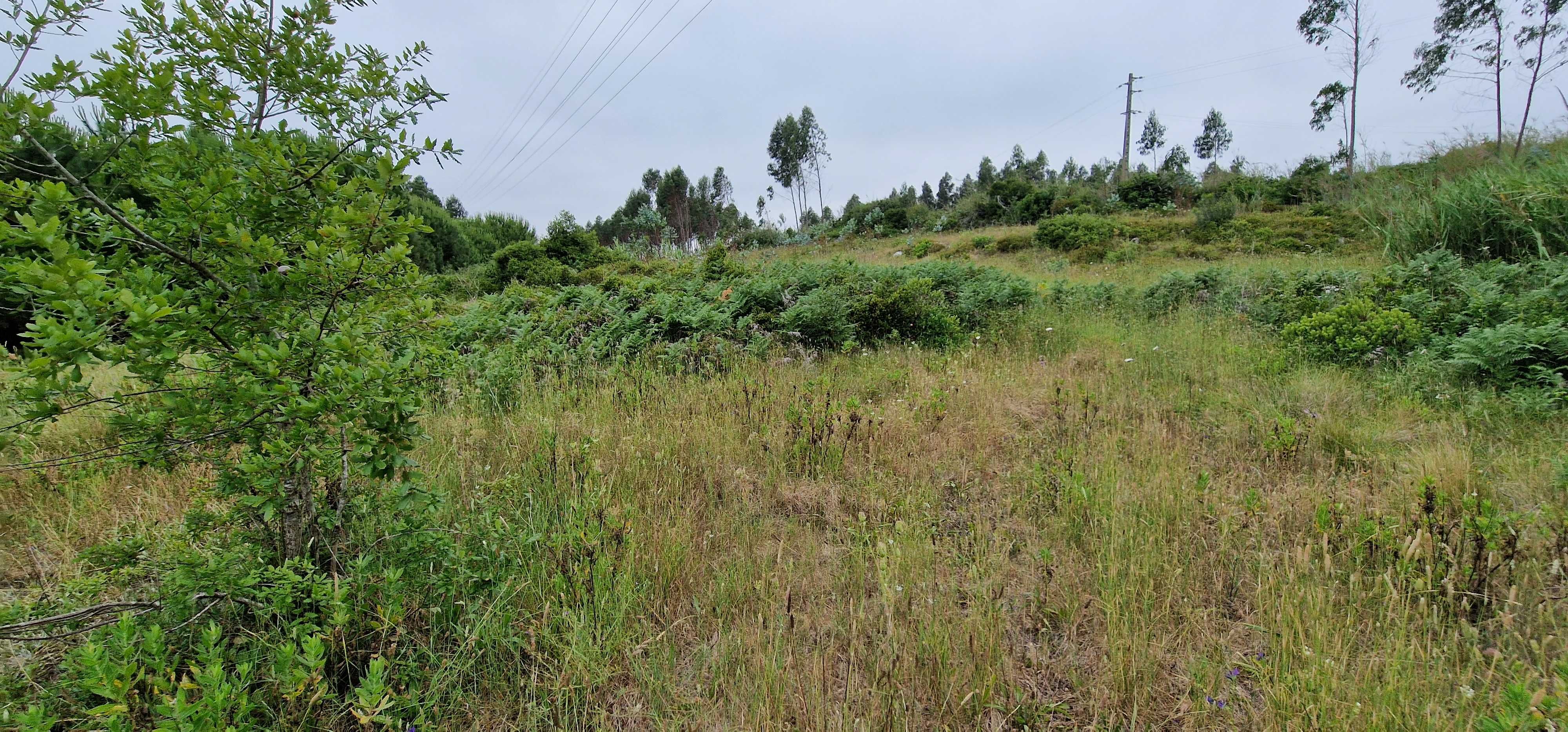 Terreno Agrícola