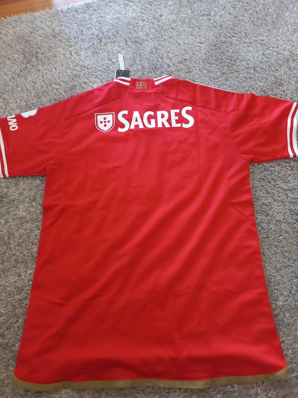 Camisola do Benfica 2023/2024