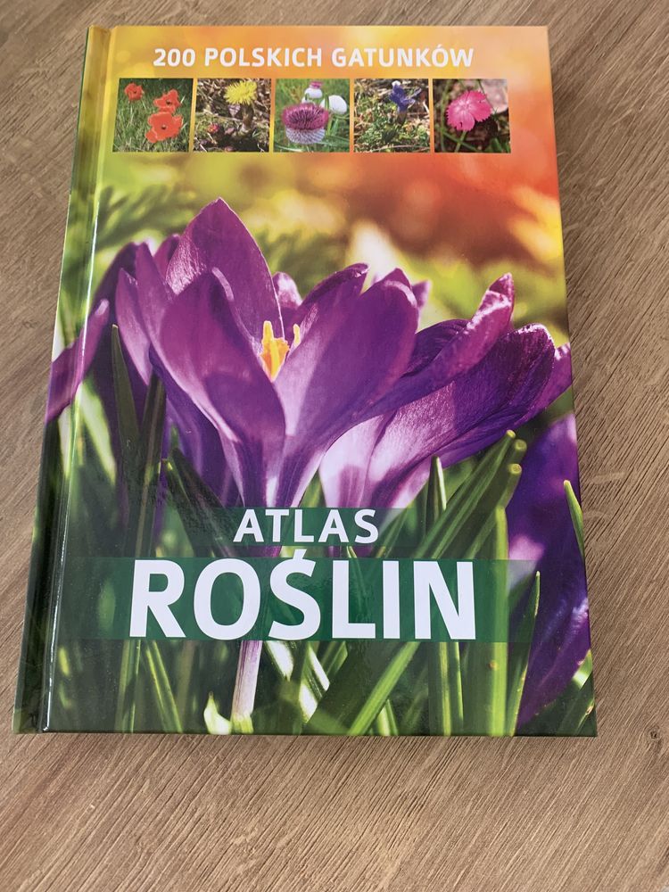 Atlas roślin 200 polskich gatunkow
