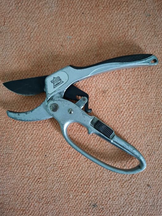 Gotejadores de rega e tesoura de poda