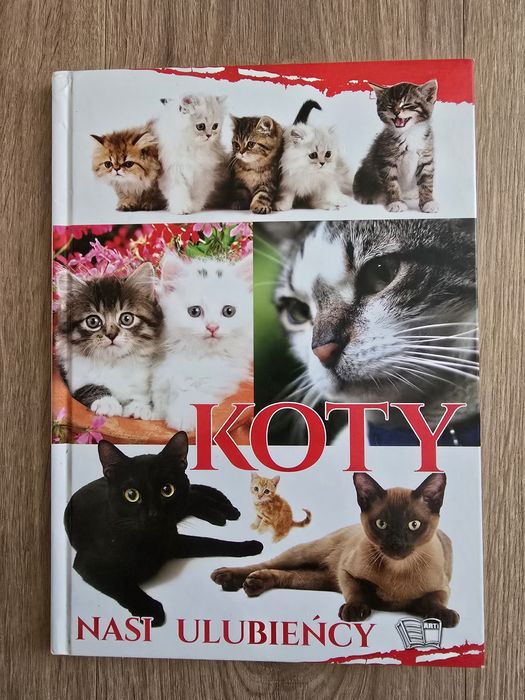 Koty. Nasi ulubieńcy - praca zbiorowa