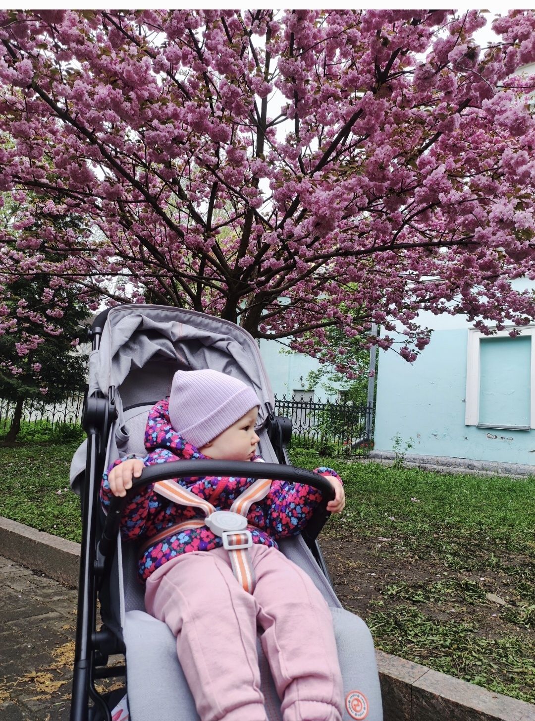 Куртка, вітрівка на весну для дівчинки