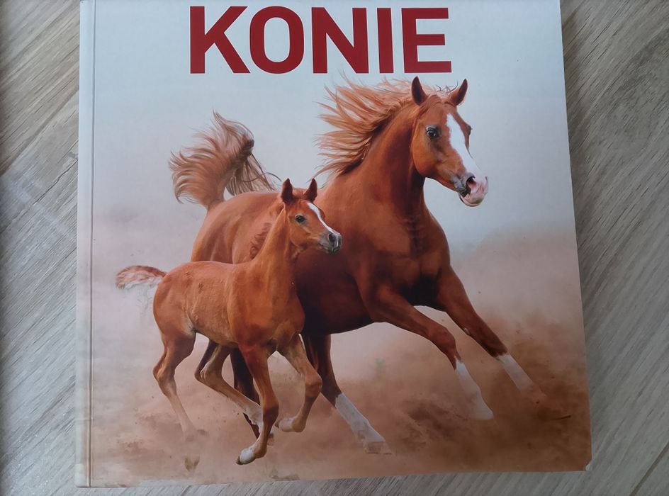 2 książki o koniach