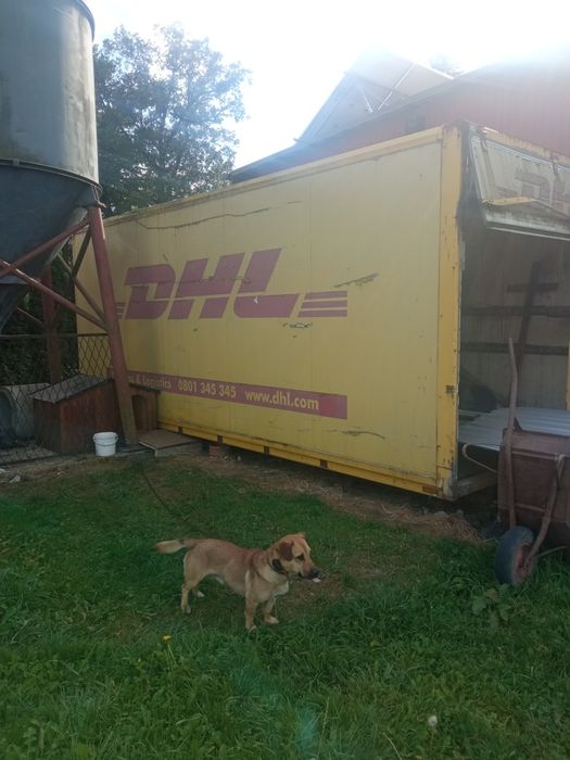 kontener kurnik buda