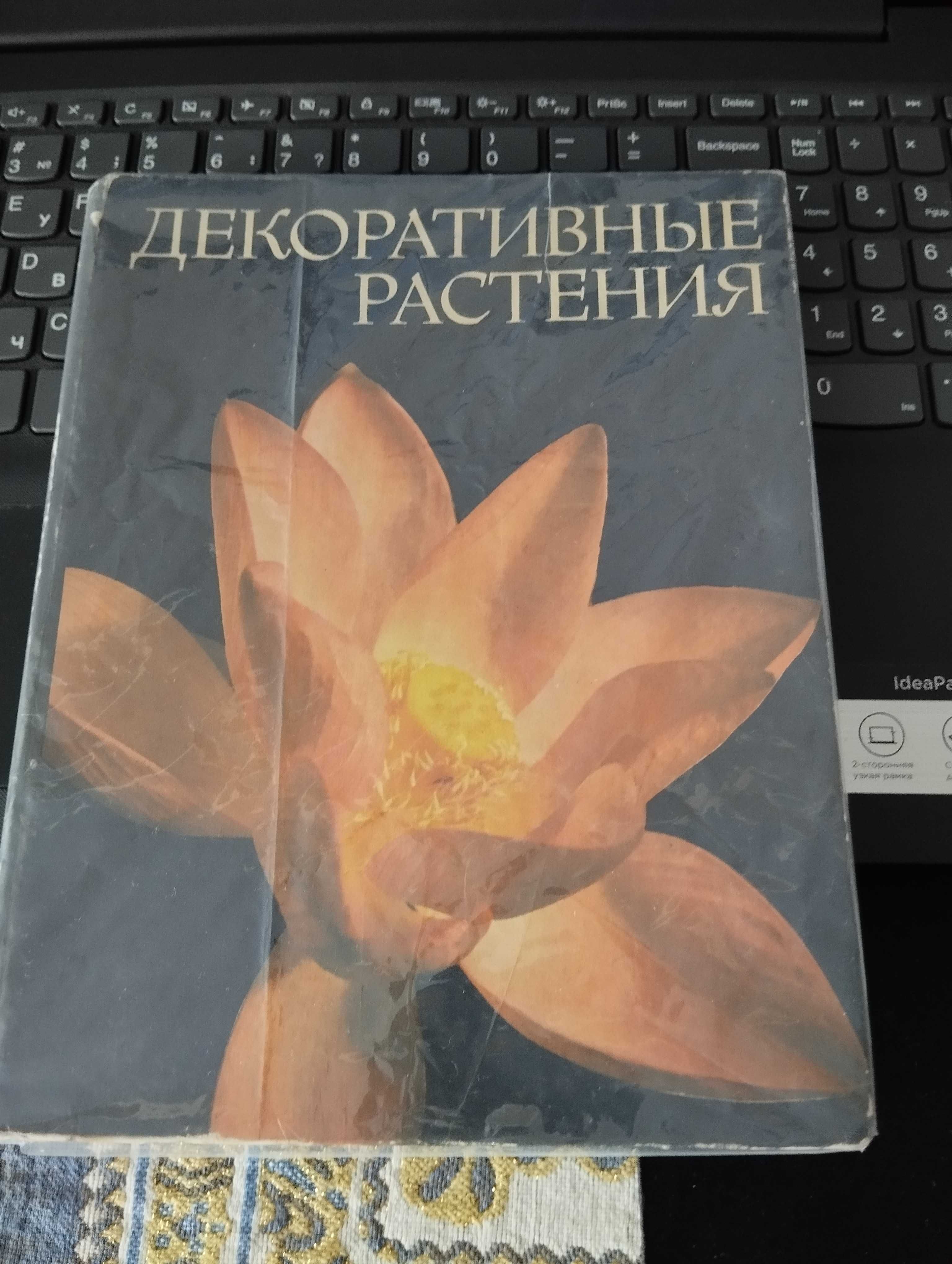 Довідник декоративні рослини ілюстрований Лапчик В. Білоконь Г