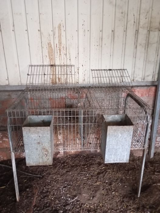 Coelheira 2 compartimentos