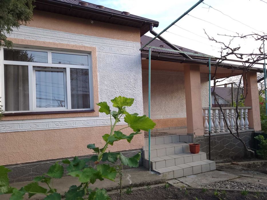 Продам велике домогосподарство в с.Арданово