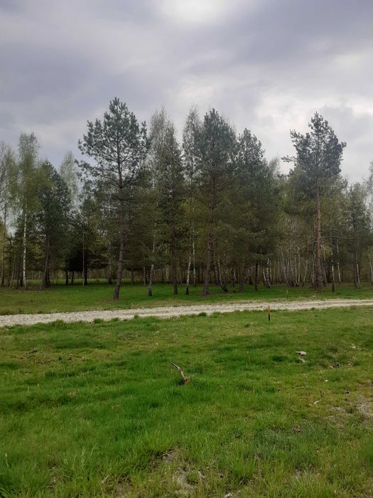 działka budowlana 1500 m2 Adamowizna gm. Grodzisk Mazowiecki